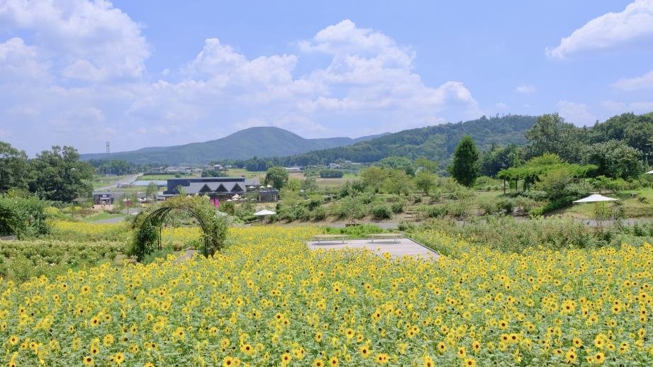 🌸 이바라키 플라워 파크 이미지 1